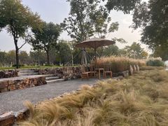 -上海山野camping·户外天幕烧烤·团建拓展营地
