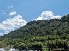 -芦茨金富饭庄·25年老字号·专做稻草鸡