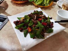 -蘑统田下·野生菌火锅