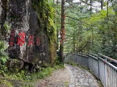 -苍山感通索道