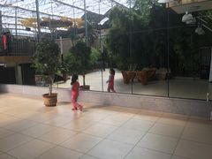 -北国之春国宴(乌兰察布店)