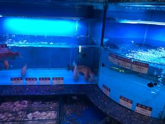 水产区-协成海鲜火锅(海洋花园店)