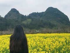 -靖西鹅泉风景区