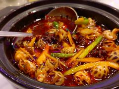 花螺-四海之家(蛇口店)