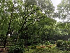 -忠山公园