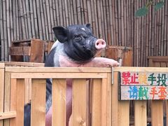 -HERRE·FARM 赫尔露营农场·团建聚会包场