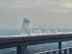 -紫金山索道-售票处