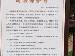 -老槐树煎包