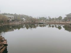 -杏花村文化旅游区