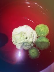 -广州四季酒店·花水疗中心·高空Spa