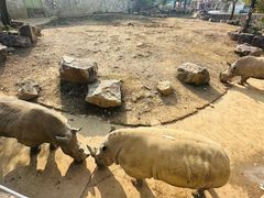 -无锡动物园·太湖欢乐园