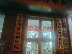 -北京观赏动物医院·24小时大型综合·猫专科·异宠专科