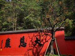 -大慈岩风景区
