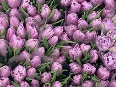 -花邻FloweringLife花艺气球派对(武康大楼店)