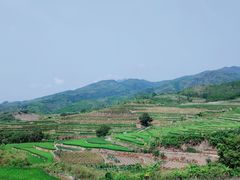 -牙胡梯田