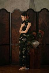 -左岸摄影写真(天津旗舰店)