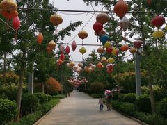 -南宫五洲植物乐园