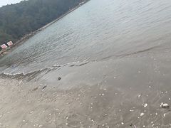 -西澳岛