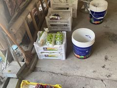 -马陆小张葡萄园农家乐