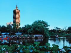 -西海子公园