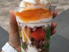 -Salud撒露欧洲冻酸奶(蓝色港湾店)