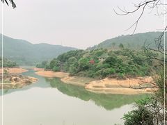 -东莞市大岭山森林公园