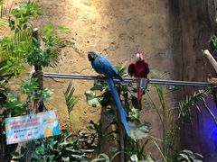 -杭州开元森泊度假乐园