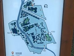 -东郊湿地公园