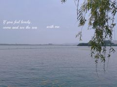 -渤公岛生态公园