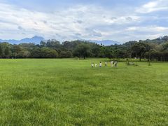 -福建鲤鱼洲酒店