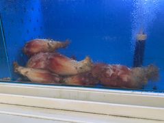 -西归浦每天偶来市场