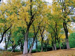 -白塘生态植物园