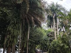 -南宁南湖公园