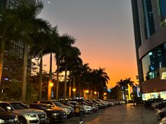 -凤凰楼酒家·粤宴点心(华强北店)