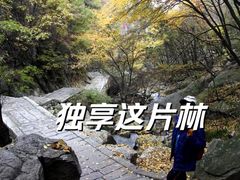 -尧山风景区