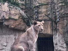 -上海野生动物园
