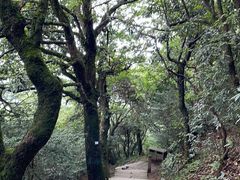-南岳衡山风景名胜区