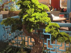 -全聚德烤鸭店(准噶尔路店)