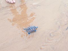 -青岛银沙滩