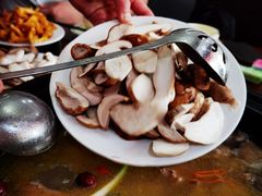 -菌之家·专业纯野生菌火锅·特色炒菌