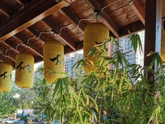 -大吉鲜鱼料理自慢(维也纳大厦店)