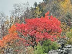 -叠溪松坪沟景区