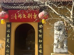 -南京老山国家森林公园