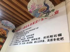 -蘑统田下·野生菌火锅