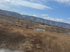 -芦芽山旅游度假区