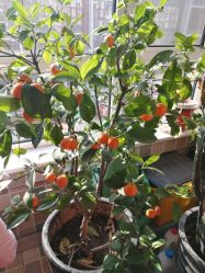 -时尚殿堂·颜SPA