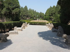 -司马温公祠
