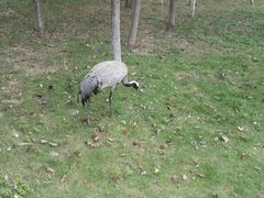 -艾溪湖湿地公园