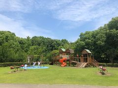 -梁鸿国家湿地公园