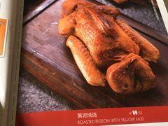 -食家鸽园